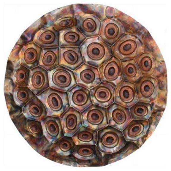 Peterson Artwares TY5044 Lotus Fruit Wall Mountable Original Artwork