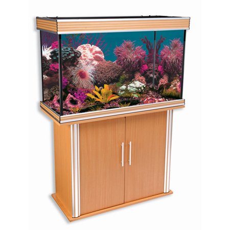 Nautilus Rectangular with Silver Trim Aquarium & Stand II