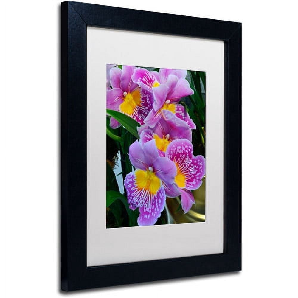 Trademark Fine Art "Happy Orchids" Canvas Art by Kurt Shaffer, White Matte, Black Frame