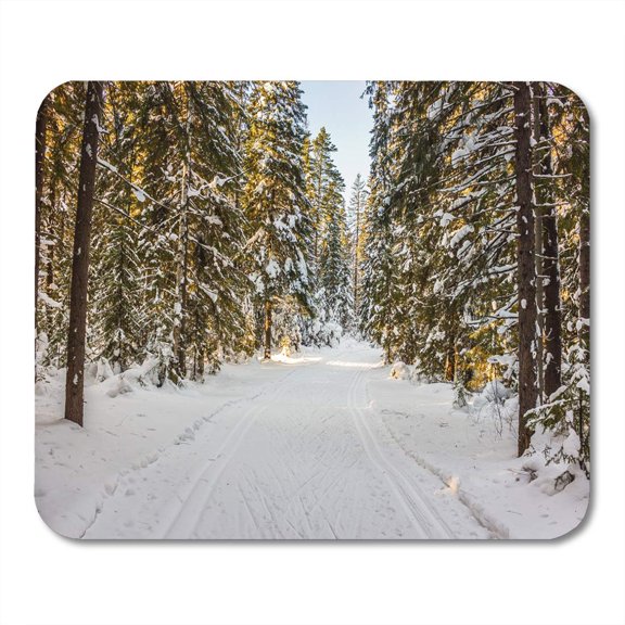 SIDONKU Winter Landscape Walk in Woods Snow World The Track Mousepad Mouse Pad Mouse Mat 9x10 inch