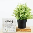 thumbnail image 5 of Zomyto 7"x7" Spring Decor, Spring Decorations for Home Office, Spring Decorations, Spring A Lovely Reminder of How Beautiful Change Wood Sign, Tiered Tray Decorations, 5 of 5