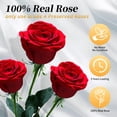 thumbnail image 2 of Flores preservadas Forever Flowers Roses in A Box Leebean, 2 of 7