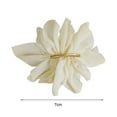 thumbnail image 5 of Eoperou Non-Slip Exquisite Craftsmanship Spring Hairpin Big Flower Decor Girl Hair Clip Hair Accessories, 5 of 7