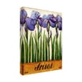 thumbnail image 2 of Trademark Fine Art 'Irises Purple' Canvas Art by Daniel Patrick Kessler, 2 of 3