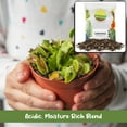 thumbnail image 4 of Carnivorous Plant Potting Soil Mix (2 Quarts), Ideal Additive for Venus Fly Traps, Sundews, and Pitcher Plants, 4 of 9