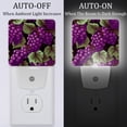 thumbnail image 2 of Grapes LED Square Night Lights - Portable and Stylish for Bedroom and Kids Room - Enhance Your Space with Soft and Soothing Illumination, 2 of 6