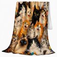 thumbnail image 2 of Many Cat Portraits with Autumn Leaves, Realistic Painterly Style for Cat Lovers, Cozy Orange Gallery Scene, Flannel Blanket for Living Room and Bedroom, Birthday Gift and Cat Home Decor, 2 of 9