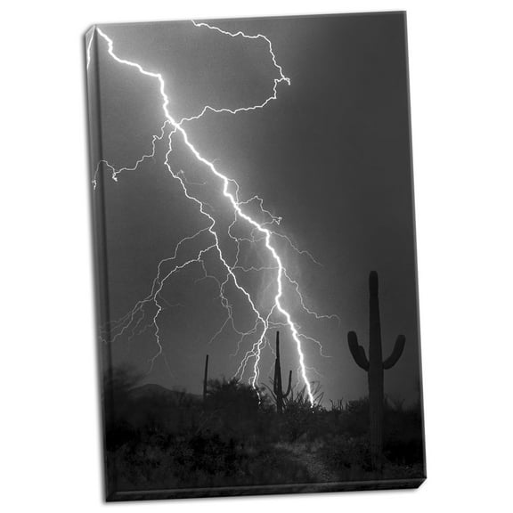 Gango Home Decor Fire & Rain BW by Douglas Taylor (Ready to Hang); One 24x36in Hand-Stretched Canvas