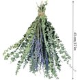thumbnail image 2 of 12 Pcs Dried Preserved Eucalyptus Stems & Lavender Flowers Bundle for Shower, 17'' Hanging Eucalyptus Plant Leaves, Aromatic Self-Care Shower Plants, Home, Shower Decor, 2 of 8