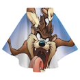 thumbnail image 4 of Looney Tunes Taz-Mania Kids Flannel Wearable Blanket, Warm Shawl Blanket Comfy Poncho Soft Cozy Throw Blanket Hoodie for Boys Girls Birthday Gifts, 4 of 7