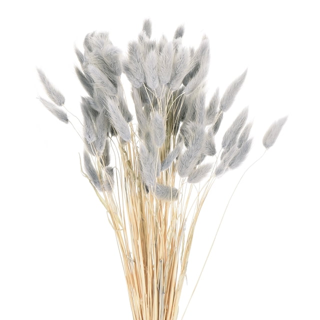 Uxcell 120pcs Colas de Conejo Naturales Flores Secas 17" Mini Hierba Pampas Lagurus Ovatus Ramo para Decoración Floral de Boda, Azul Grisáceo
