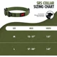 thumbnail image 2 of Collar De Acción Impermeable Para Perros | Collar De Perro, 2 of 8