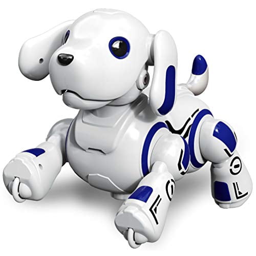 interactive robot dog
