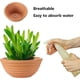 thumbnail image 4 of Macetas pequeñas de terracota de 6 pulgadas, cuencos poco profundos con orificios de drenaje, macetas de arcilla para plantas, paquete de 6 (hy), 4 of 5