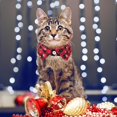 thumbnail image 3 of Mumup 2Pack Christmas Cat Collars Breakaway with Stylish Bow, 2 Pack Red Green Plaid Xmas Kitten Collar with Bell, Removable Bowtie Christmas Collar for Cats, 3 of 6