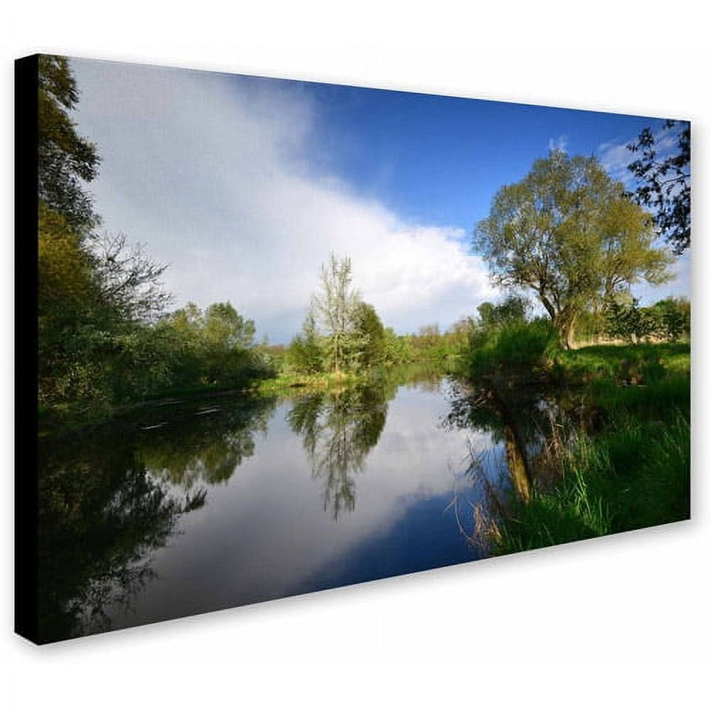 "Rise Above" Canvas Art by Philippe Sainte-Laudy