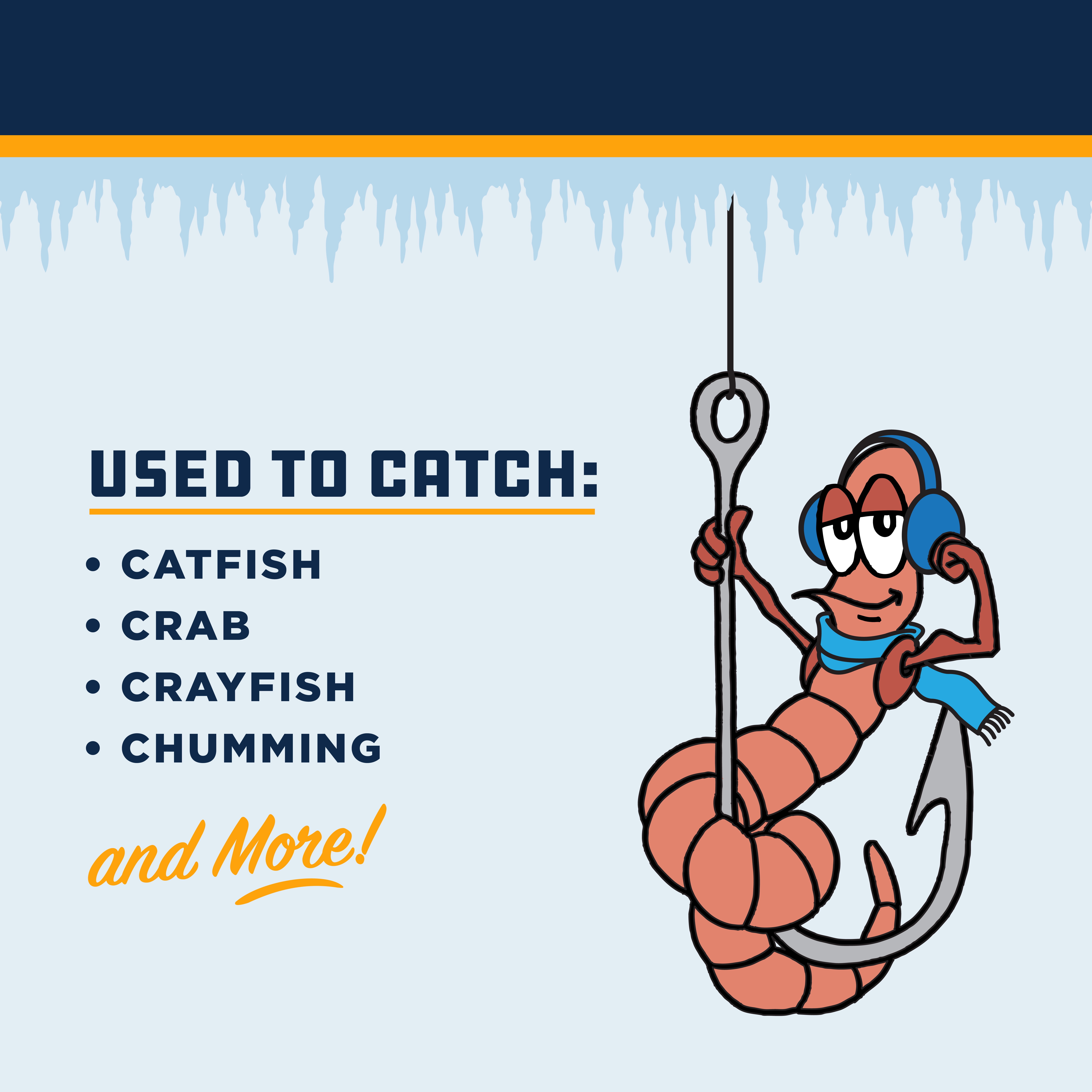 DMF Bait Co. Head on Shrimp, Fishing Frozen Bait, 8 oz