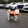 thumbnail image 3 of Chaleco salvavidas, abrigo de rescate para mascotas, ropa reflectante para perros al aire libre, traje de baño para mascotas, perro Wmkox8yii jkg2177, 3 of 9