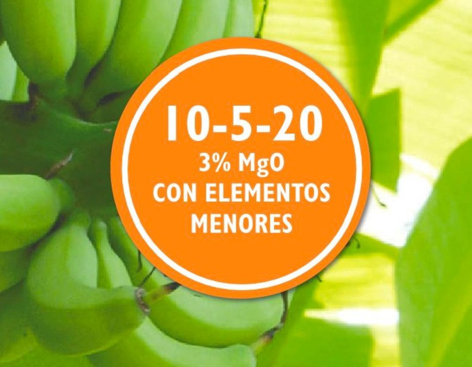Evergreen Bananas and Plantains Beige Plant Food Fertilizer 7lbs.