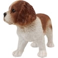 thumbnail image 4 of Ebros Adorable Cavalier King Charles Spaniel Puppy Dog Breed Statue 6.25" Long, 4 of 7