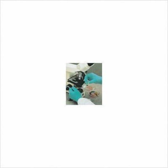 Showa Disposable Gloves,Rubber Latex,L,PK100 W1005L