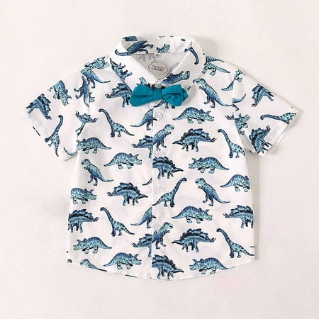 

Leutsin Big Boys Hawaiian Shirt Kids Hawaiian Shirt Coconut tree print Shirt Short Sleeve Luau Shirt for Kids （2-12Years）