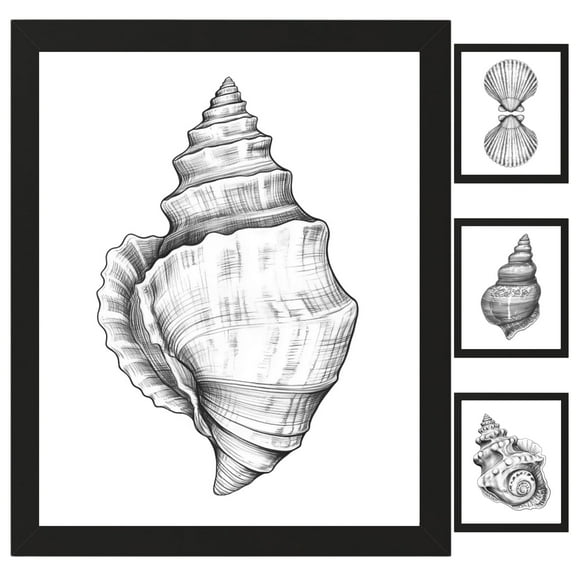 TheNameStore Seashell Bathroom Wall Art, Coastal Beach Photo Picture Set, 3-Pack, 8.5 x 11 Inches, Black