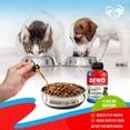 thumbnail image 6 of Natural Digestive Support for Dogs, Puppies & Cats, Kittens – Herbal Blend with Wormwood, Black Walnut – Promotes Healthy Gut – Advanced Formula for Large, Medium Small Pets para Perros, 6 of 8
