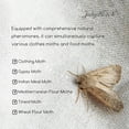thumbnail image 4 of 2Z  Moth Traps with Non-Toxic Pheromones ，Get Rid of Moths in House (12-Pack), 4 of 5