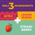 thumbnail image 3 of Zest Delites Strawberry Fruit Rolls, Dried Fruit Bars, 100% Natural, No Sugar Added, 0.88 oz x 10, 3 of 8