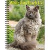 Willow Creek Press, What Cats Teach Us 2026 Engagement Planner, 7'' X 8.66'', Weekly Calendar with Spiral Binding