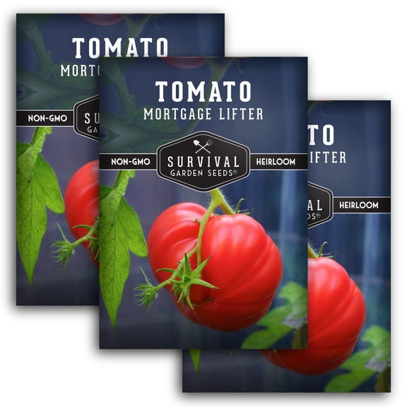 3 Packs Mortgage Lifter Tomato Seeds - Non-GMO Heirloom Full Sun Annual Vegetable