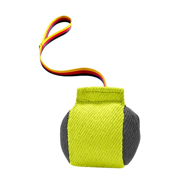 Dsscvnef Dog Tug Toy Training Interactive Play Dog Pillow for Small Medium Dog Training Jump Cups Agility Small Dog Squeaky No Stuffing