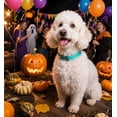 thumbnail image 6 of Minzimin Reflective Dog Collar for Medium Large Small XS XL Extra Small Dogs, Nylon Adjustable Puppy Collar, 6 of 6