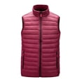 thumbnail image 1 of Chaleco de hombre Chaqueta de algodón con cuello levantado Chaqueta Chaleco delgado Ropa de hombre Pompotops oipoqjl21039, 1 of 3