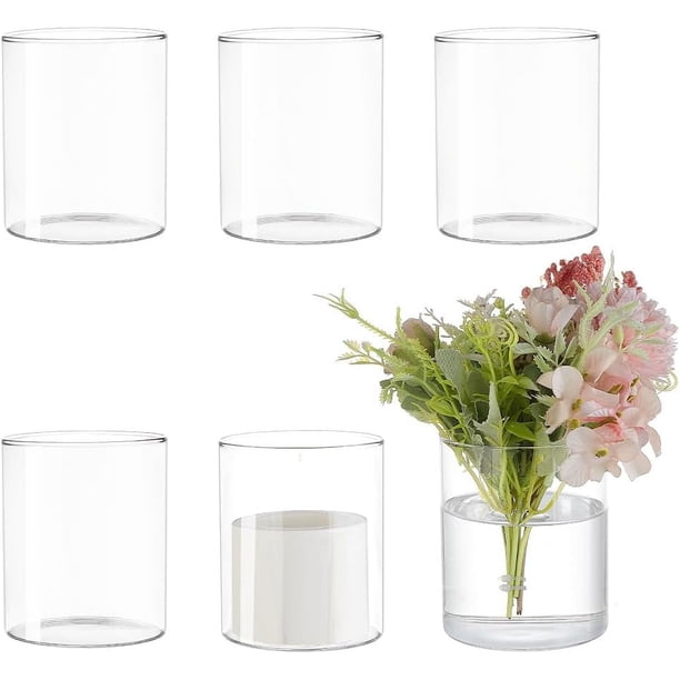 Juego de 6 jarrones cilíndricos de vidrio de 10 cm (alto) x 8,4 cm (ancho), botellas transparentes para plantas hidropónicas, centros de mesa decorativos modernos.