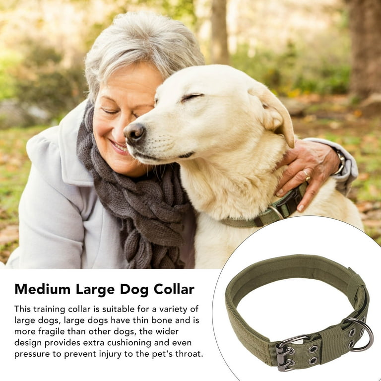 Od green dog clearance collar