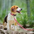 thumbnail image 6 of Three Tree Nylon Break-Away Dog Collar, Pink, XSmall - 5/8"x(10-12"), 6 of 10