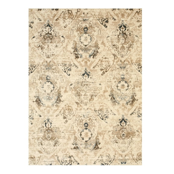 Bohemian Area Rug Distressed Ivory Polypropylene Rug 5x7 Transitional Rug