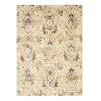 Bohemian Area Rug Distressed Ivory Polypropylene Rug 5x7 Transitional Rug