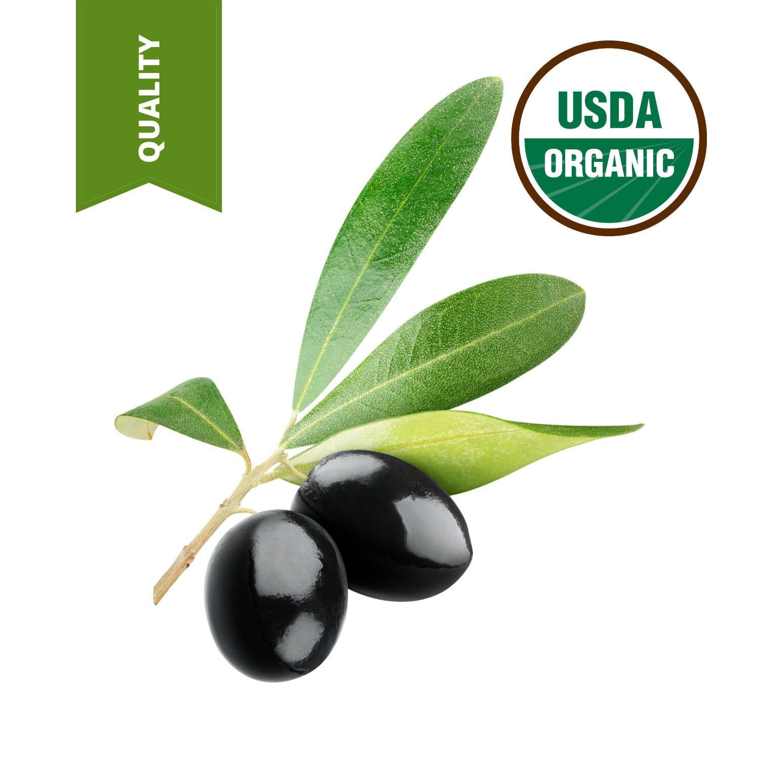 1 GALLON OF 100% Pure Organic Extra virgin Olive oil Unrefined
