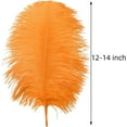 thumbnail image 3 of Orange Large Ostrich Feathers - 24Pcs 12-14inch Big Feathers for Crafts,Wedding Party Centerpieces and Halloween Home Decor, 3 of 14