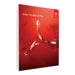 Adobe Acrobat XI Pro - License - 1 user - Consignment, indirect - ESD - Win - Universal English