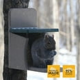 thumbnail image 2 of Birds Choice SNSQ Recycled Squirrel Munch Box, Squirrel Feeders, 7-3/16"L X 12-3/8"W X 11-5/8"H, Taupe w/ Green Roof, 2 of 9