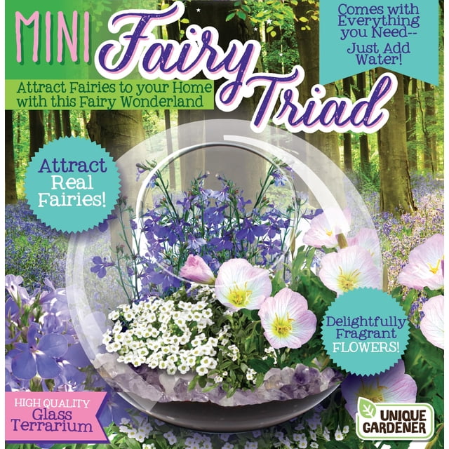 Glass Terrarium Kit Unique Gardener Mini Fairy Triad