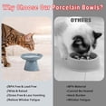 thumbnail image 4 of Elevated Dog Bowls, Cat Bowls, 6.1" Cat Food Bowl, Anti-Vomit Whisker Fatigue Bowl For Cat Puppies, 4 of 7