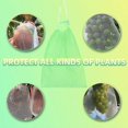 thumbnail image 4 of 50 Piezas Bolsa Protectora De Uvas, 30x20cm, Bolsas De Organza, Bolsa Protectora De Frutas, Red Contra Insectos, Protección Y Control De Plagas Para Jardín (verde) (hy), 4 of 5