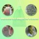 thumbnail image 4 of 50 Piezas Bolsa Protectora De Uvas, 30x20cm, Bolsas De Organza, Bolsa Protectora De Frutas, Red Contra Insectos, Protección Y Control De Plagas Para Jardín (verde) (hy), 4 of 5