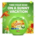 thumbnail image 5 of Gain Flings Laundry Detergent Pacs,, Island Fresh, 60 Count, 5 of 10
