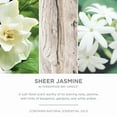 thumbnail image 2 of Chesapeake Bay Candle PT42073 Candle Multi-Wick Ceramic Sheer Jasmine Home Décor, 2 of 5